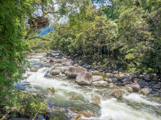 Mossman Gorge Adventure Day with River Drift Snorkelling Deals