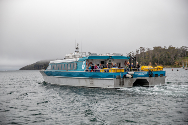 Book ferry from Steward Island to Bluff