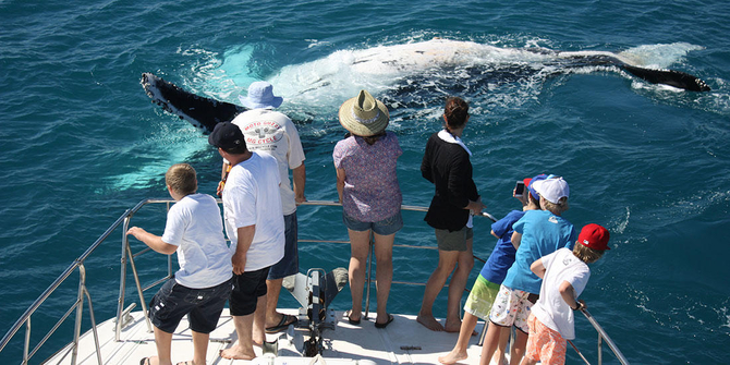broome whale watching cruises