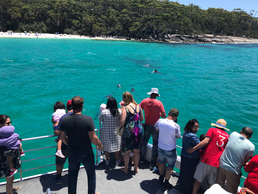Jervis Bay Dolphin Cruise