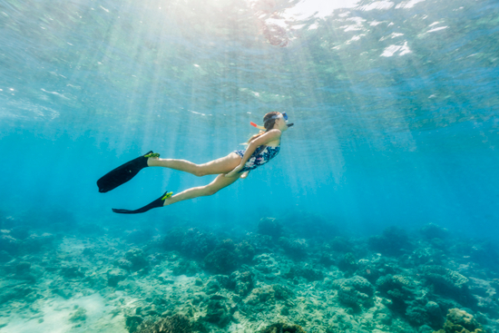 Your Guide To The Great Barrier Reef