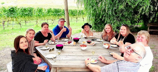 Napier Wine & Gin Tasting Tour + Optional Beer Tasting Special