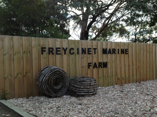 Freycinet Marine Farm.JPG