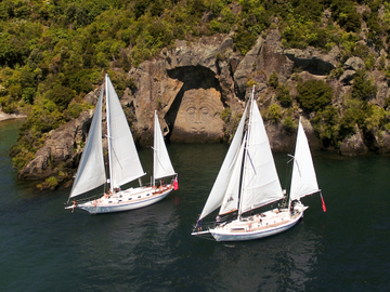 Sail Barbary Cruise to the Maori Rock Carvings