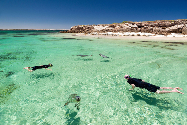 6 Day - Secrets of the Eyre Peninsula Tour