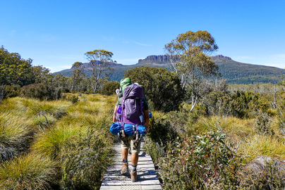Cradle Mountain Overland Track 6 Day Tour