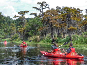 Louisiana Swamp Landscape Photo Workshop Tour
