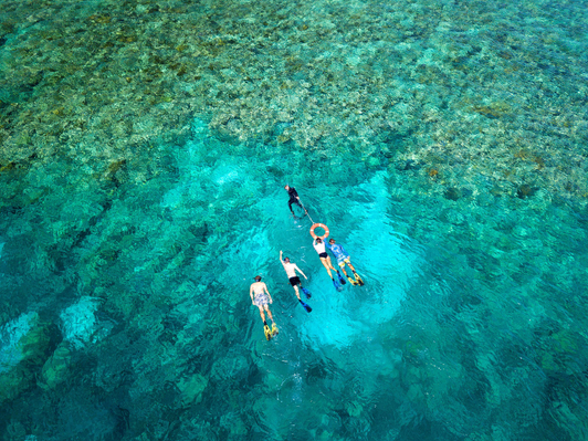 Cairns Outer Reef Trip.jpg