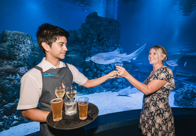 Cairns Aquarium by Twilight Tour + Dining Experience