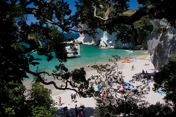 Cathedral Cove Hot Water Beach Tour
