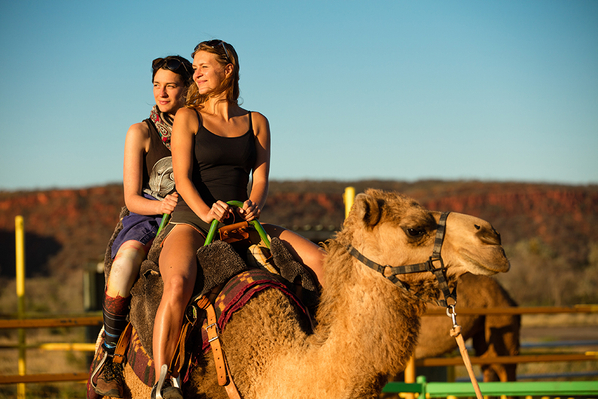 uluru tours camel ride
