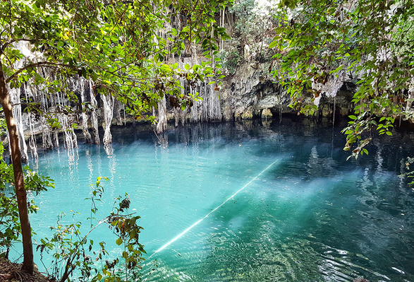 Visit to Cenote World Wonder discovery