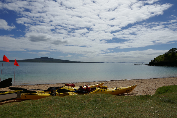 NZ rangitoto island kayak deals
