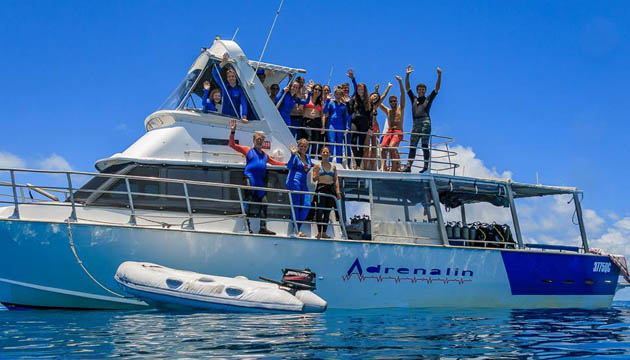great barrier reef tours