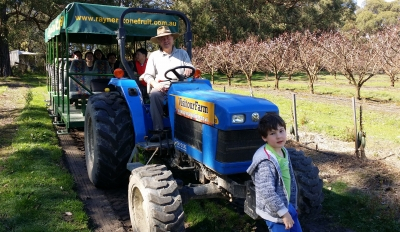 Rayner’s Orchard Tour Deals