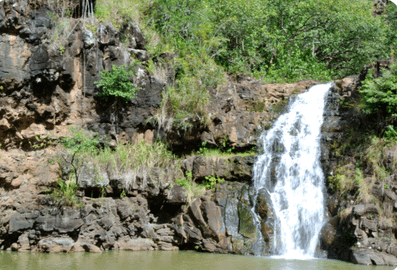 Hidden Gems of Oahu with Waimea Botanical Garden Visit