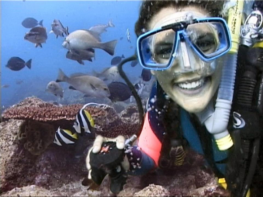 Julian Rocks Dive & Snorkel Tour