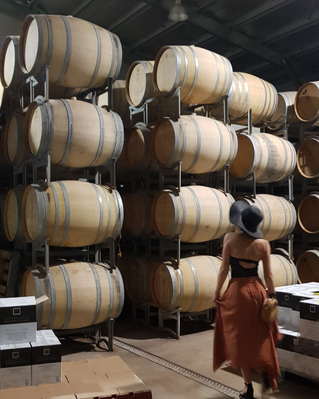 full day wine tasting winery and lunch tour