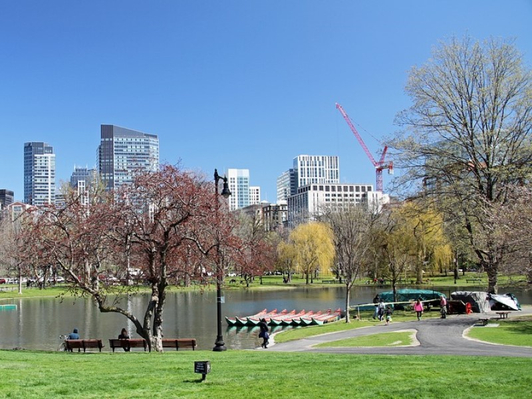 City view Boston tours