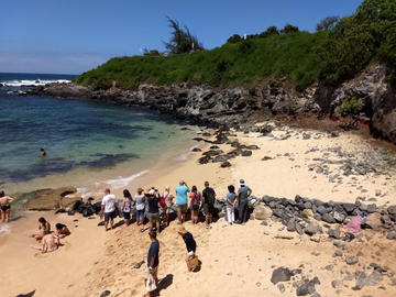 Road to Hana Adventure Tour: Departing Maui or Oahu