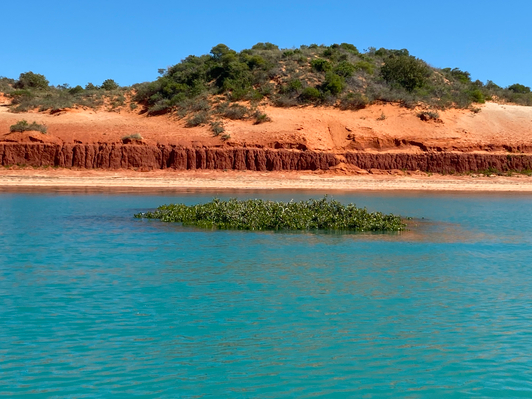 broome cruise deals