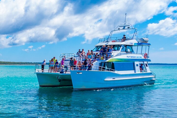 Jervis Bay Dolphin & Boom Netting Cruise Deals