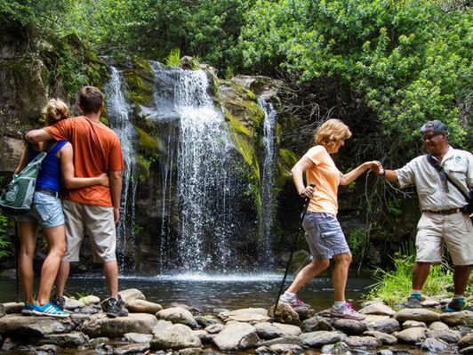 Hawaiian Waterfalls Adventure