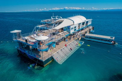 Reef Magic Cruises From Cairns to the Great Barrier Reef