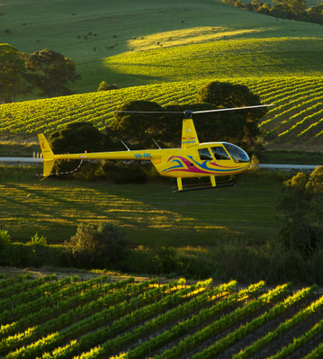 barossa wine & dine flight experience