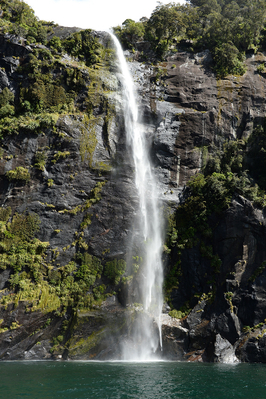 Milford Sound cruise discounts