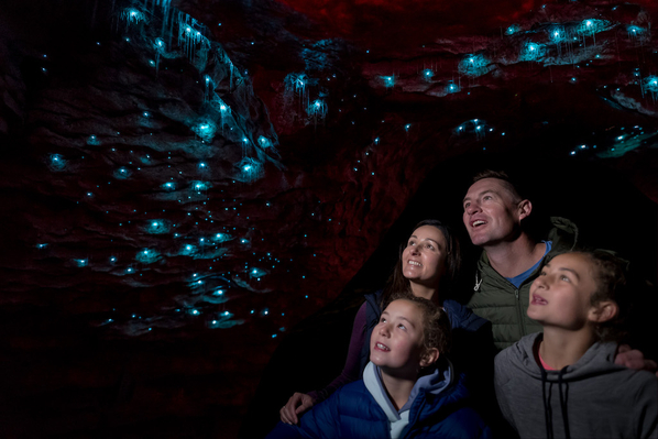 glowworm caves Te Anau