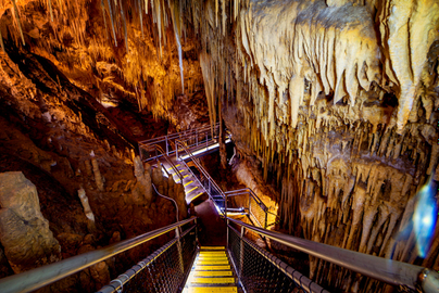 Hastings Caves, Tahune & Huon Valley Tour
