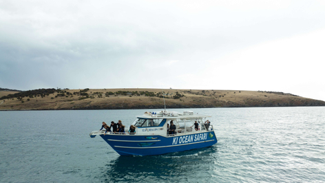Kangaroo Island Boat Tour