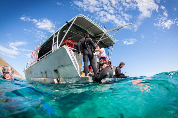 Port Lincoln diving tour voucher