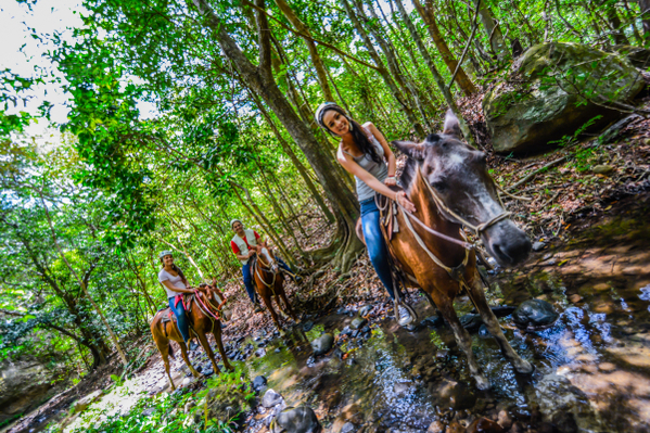 horse-ride-jungle