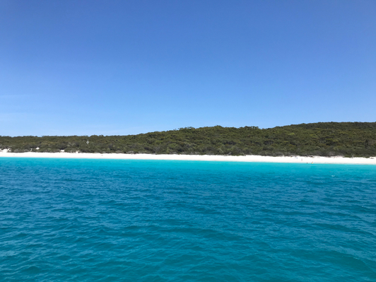Dolphin Cruise Jervis Bay Deals