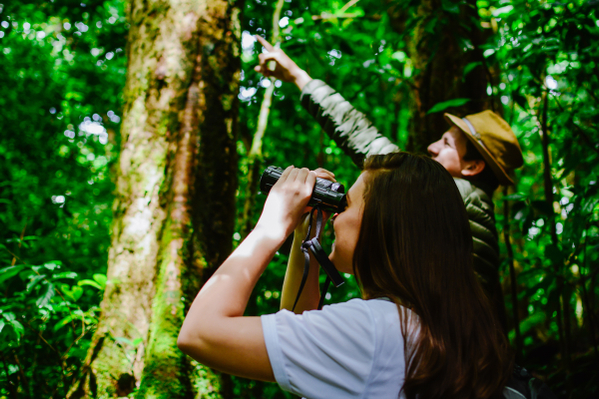 birdwatching-monteverde