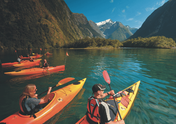 Milford Sound Cruise Kayak