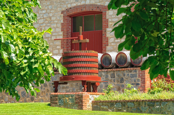 Barossa Valley Wine Tour Specials