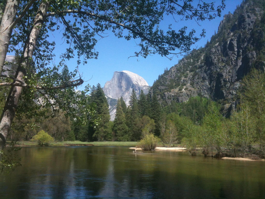 Yosemite Day Tour from San Francisco