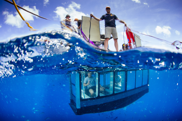 Port Lincoln shark cage diving tour deals