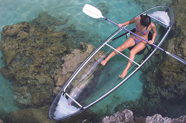 Oahu Clear Kayak Tours