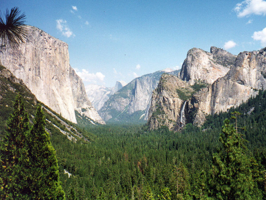 Yosemite National Park Tour deals