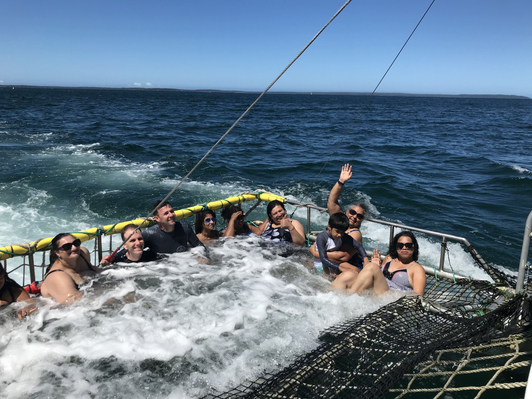 Jervis Bay Dolphin & Boom Netting Cruise