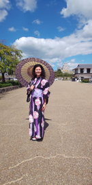 Kimono Walk at World Heritage Himeji Castle