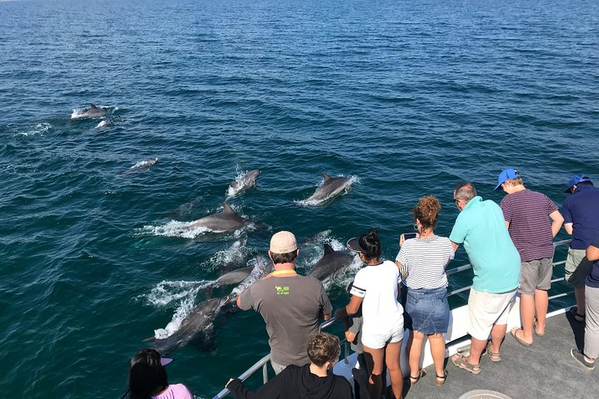 Jervis Bay Marine Park Dolphin Cruise