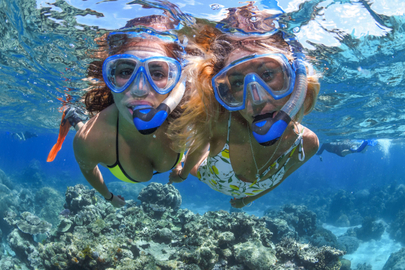 Great Barrier Reef Snorkelling Full Day Tour