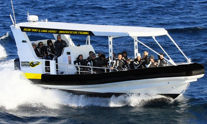 Whale Watching Mooloolaba Deals