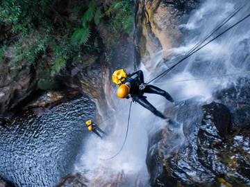 Empress Canyon Abseiling and Canyoning Adventure with Lunch - Blue Mountains