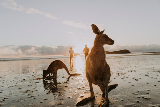 Best Tours To Do In Australia When You're Young - K'Gari